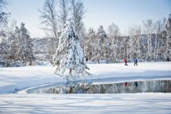 Traverse City: Snowshoeing in the Boardman Valley